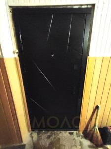 Двери входные для квартиры, модель
